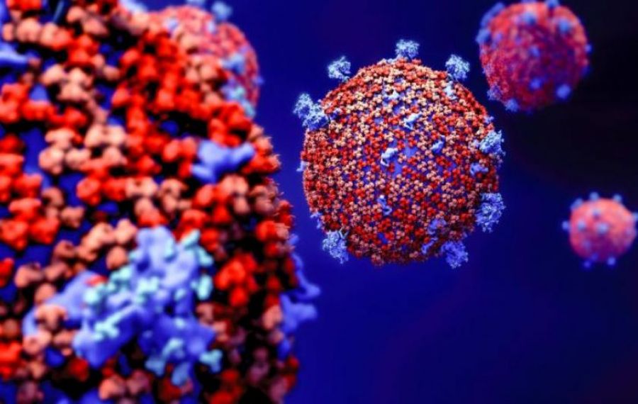 O nouă tulpină de coronavirus a fost descoperită în Nigeria