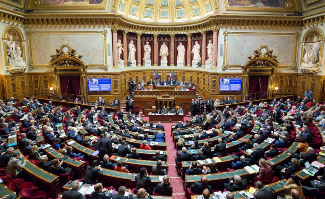 Senat: Plenul, informat în sesiune extraordinară despre trei ordonanţe adoptate de Guvern