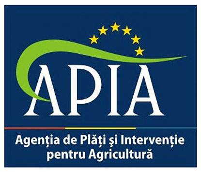 ANI cere anchetarea șefului de la APIA Argeș, conflict de interese