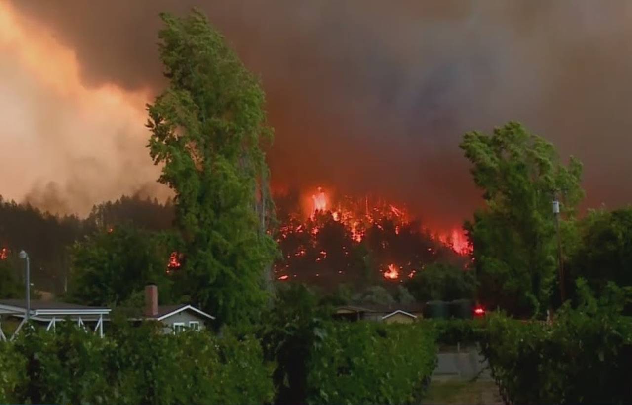 Incendii devastatoare în SUA: 4 victime, zeci de mii de oameni evacuați, podgorii pârjolite