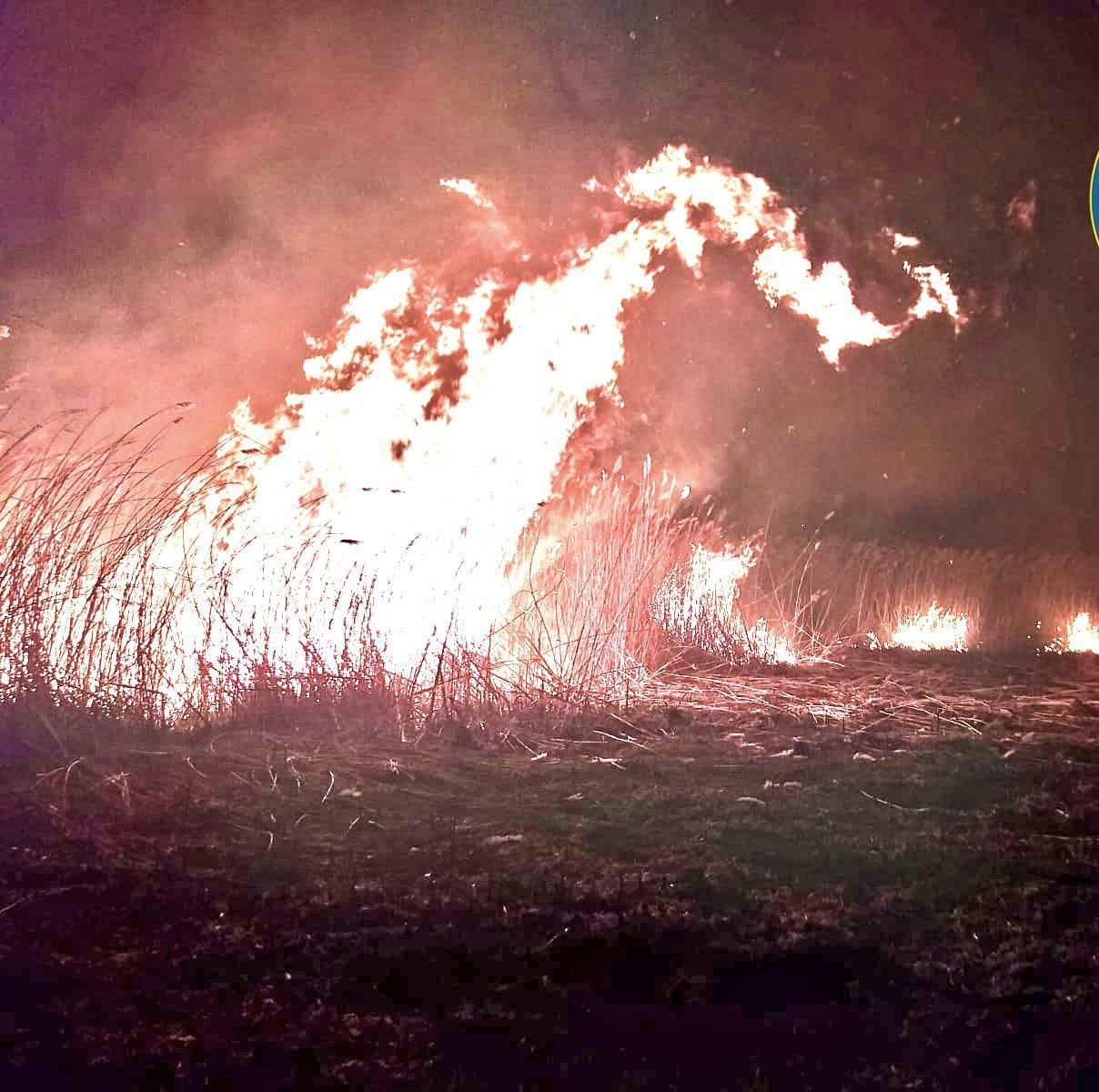 Explozie, urmată de un incendiu în Insula Mare a Brăilei. Trei persoane au fost rănite