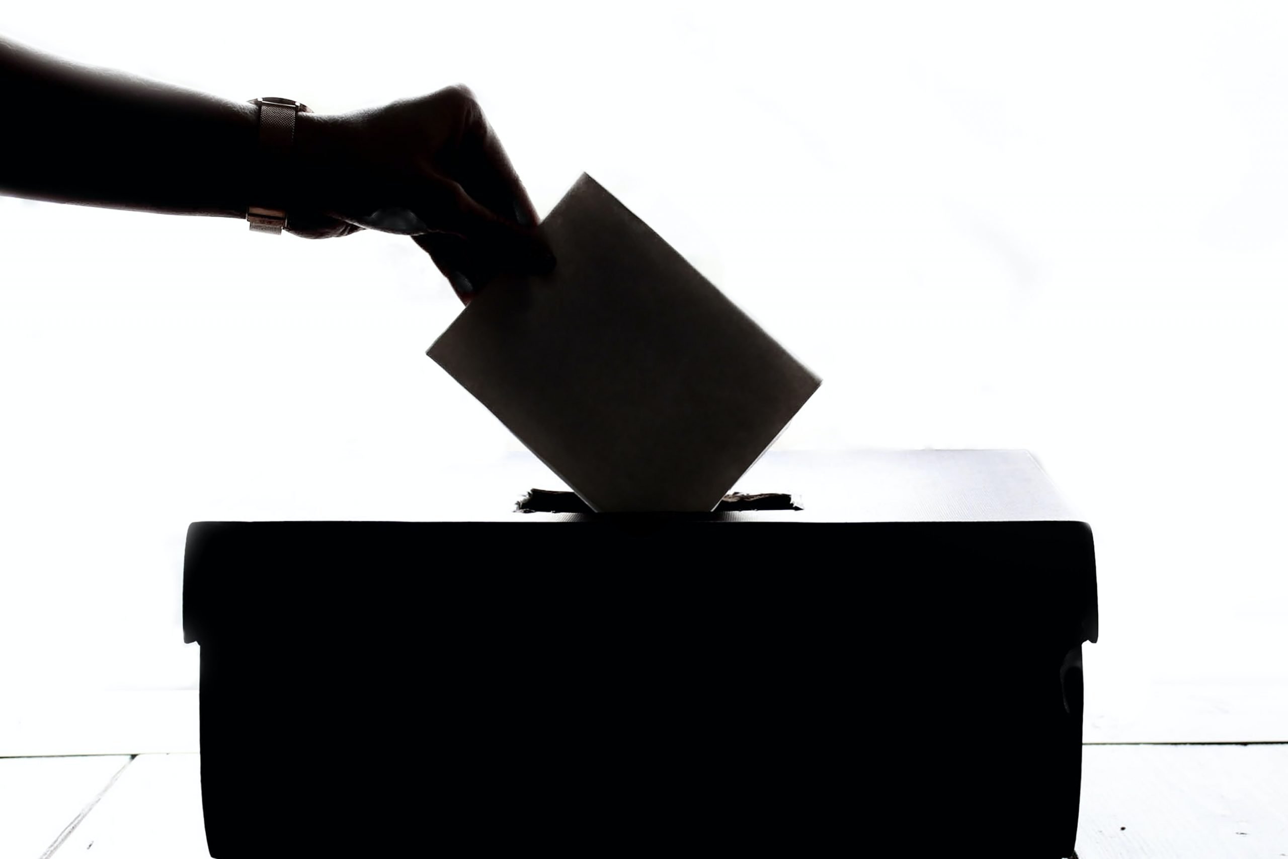 Autoritatea Electorală anunță că numărul de persoane cu drept de vot este de aproape 19 milioane