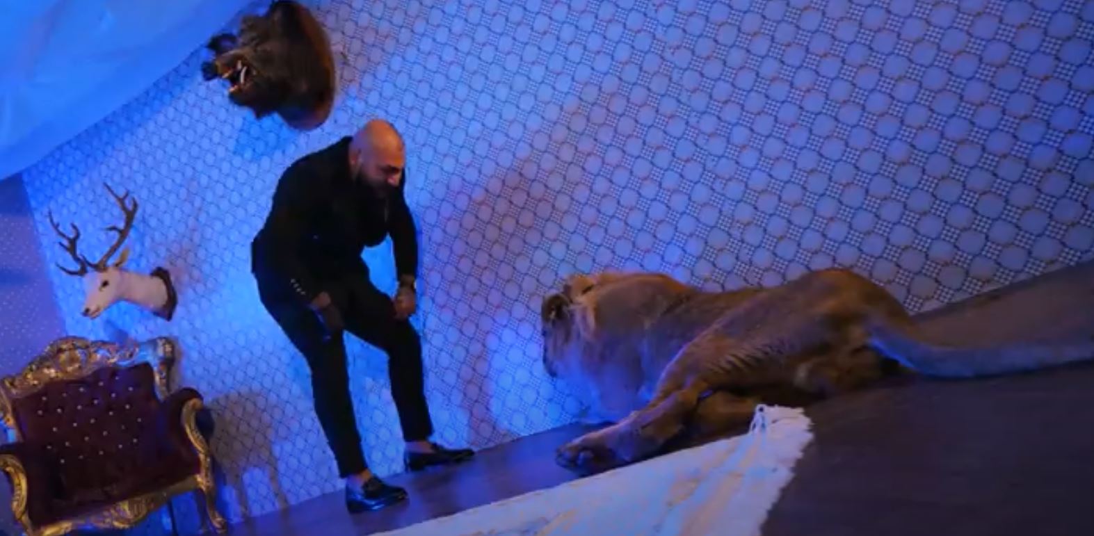 Percheziţii la locuința lui Dani Mocanu, după videoclipul în care apare un leu rănit