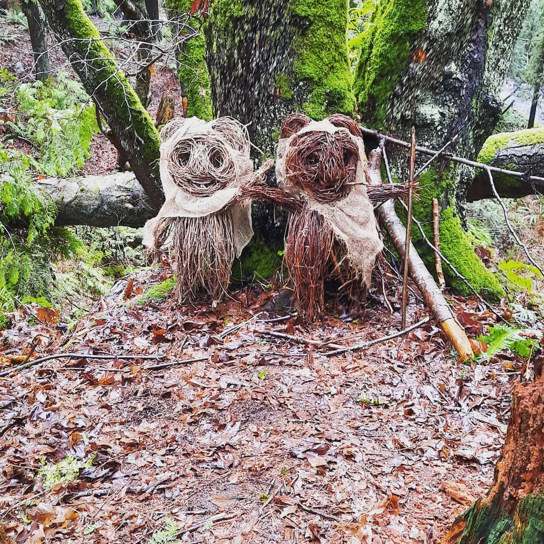 Cum au apărut „creaturile mistice” într-un parc din Canada