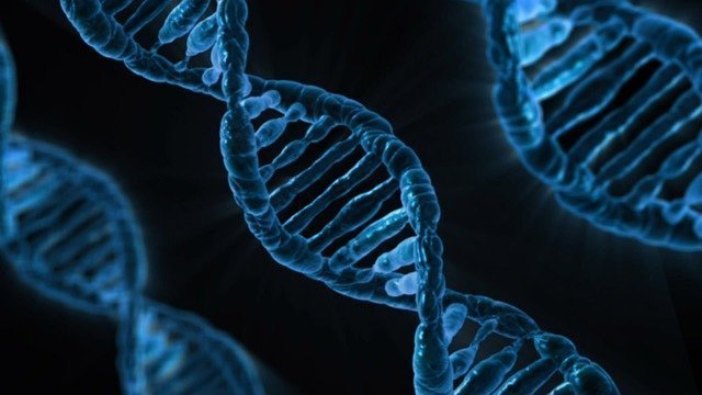 Studiu: Testele genetice SNP nu detectează variațiile genetice rare, confirmând doar 16% din cele 5.000 de mutații
