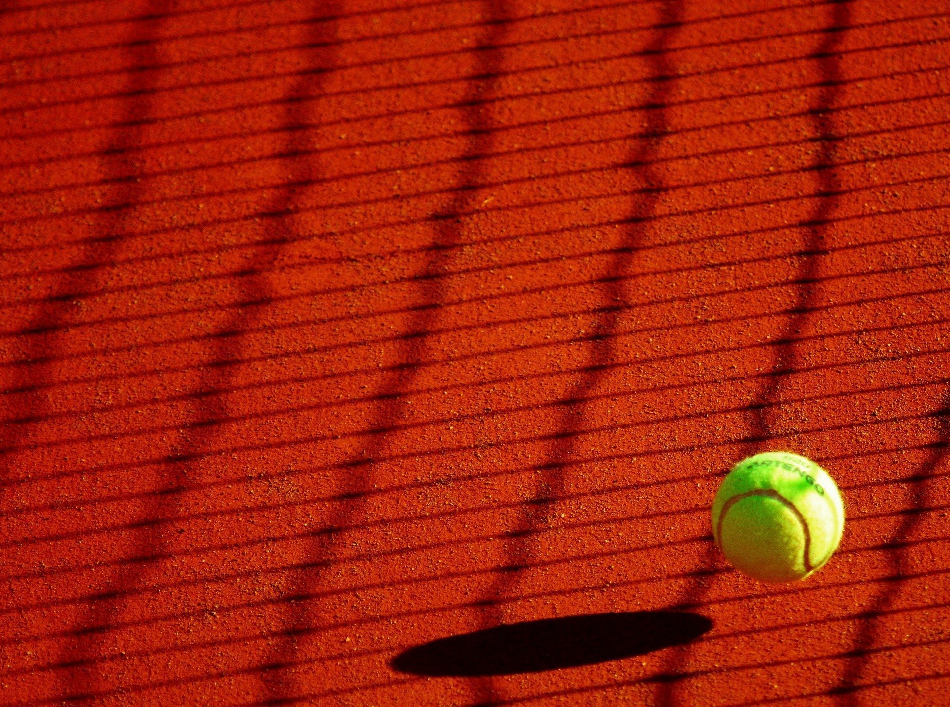 Un tenismen îşi caută pe Twitter parteneră pentru proba de dublu mixt de la Wimbledon