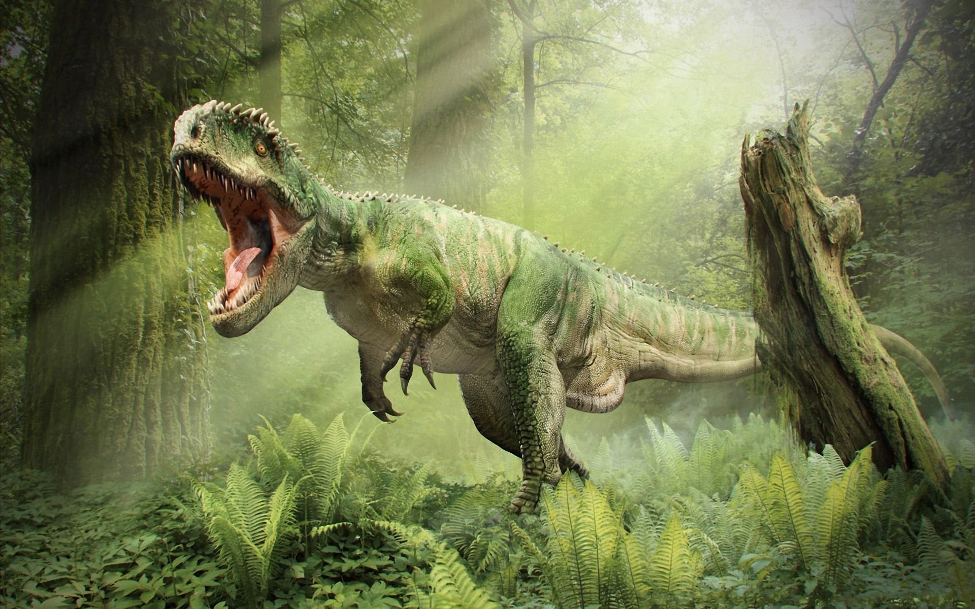 S-a redescoperit un sit unic al dinozaurilor în regiunea Transilvaniei