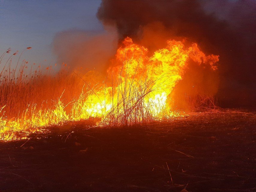 12 hectare de vegetație uscată și stuf au ars în Tulcea