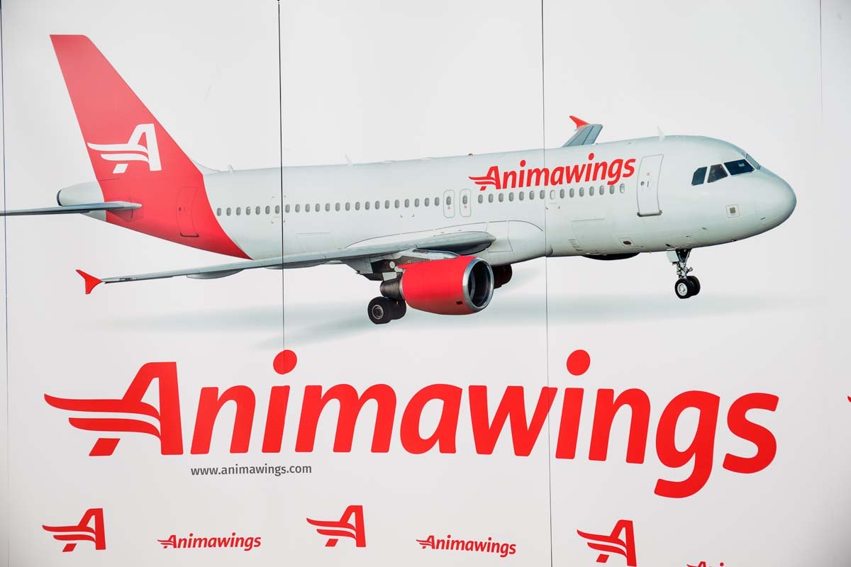 Animawings, companie aeriană fondată de Cristian Pandel, vrea să extindă flota cu două avioane