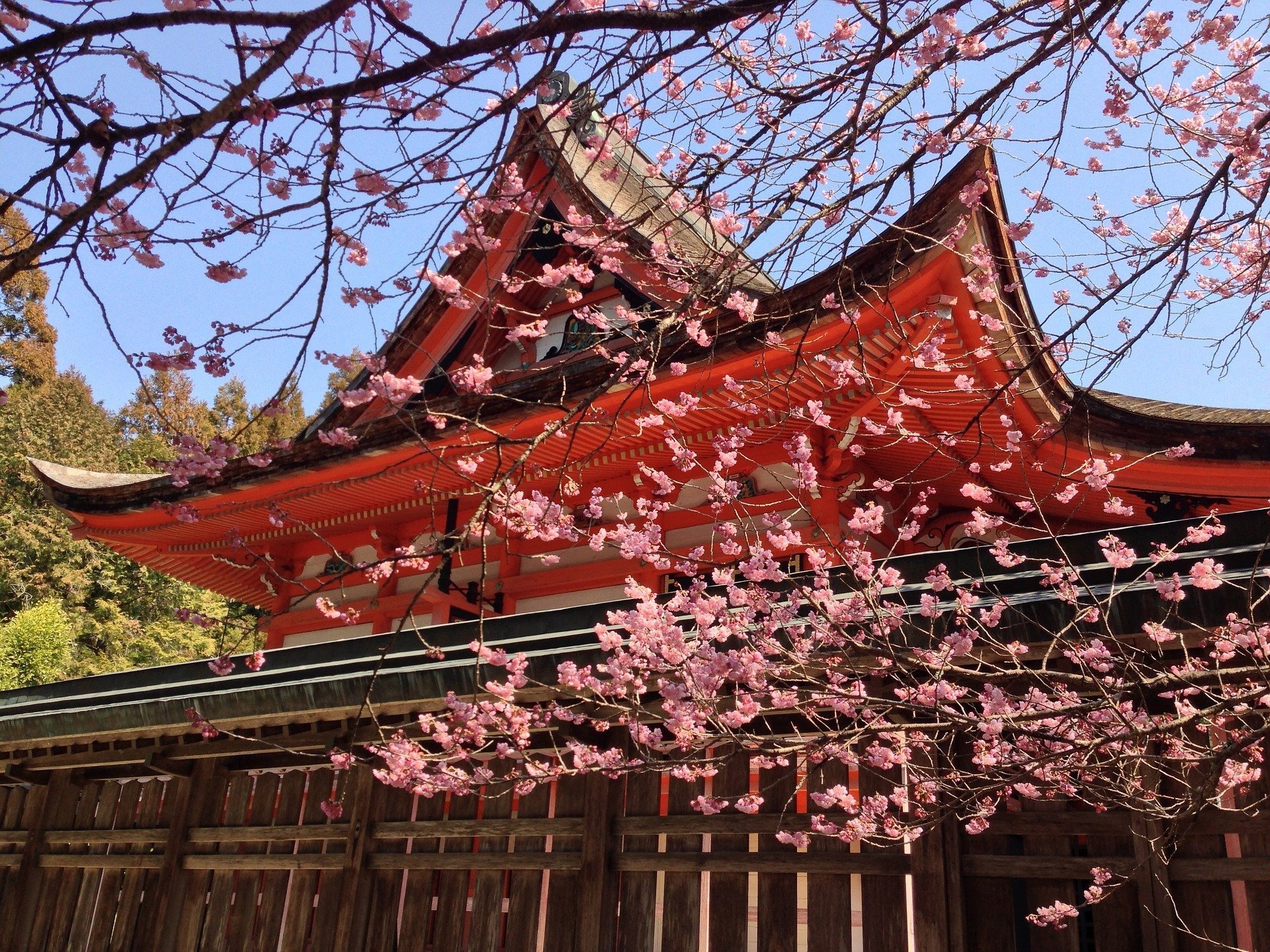 Cele mai frumoase locuri din Japonia, fascinanta țară de la capătul pământului