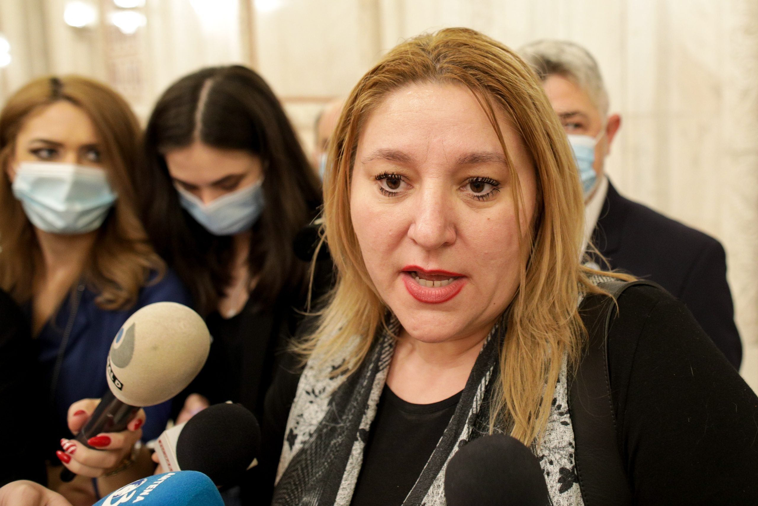 Diana Şoşoacă a depus plângere împotriva preşedintelui Comisiei juridice din Senat: „Îmi voi lua permis de port-armă”