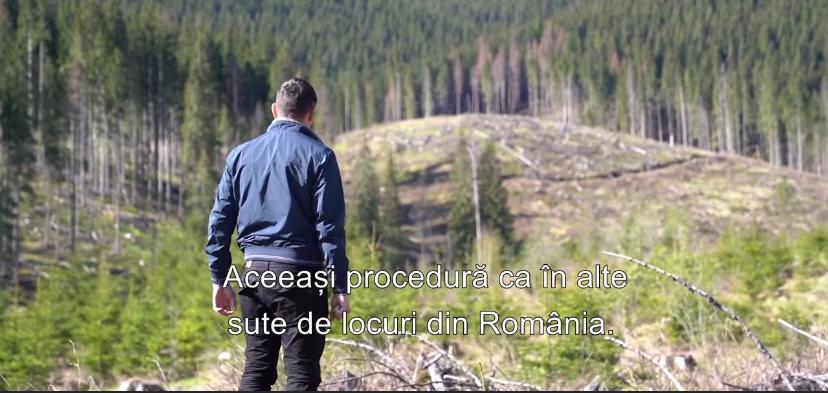 Zone din pădurile familiei premierului Cîțu, tăiate la ras. „Retrocedarea terenului s-a făcut ilegal” (video)