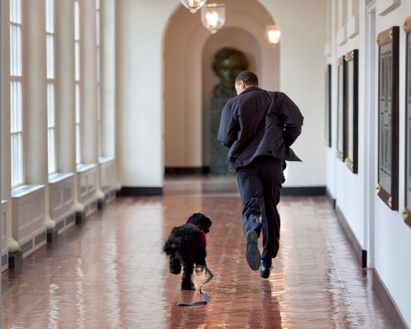 A murit Bo, câinele lui Barack Obama. Mesajul impresionant al fostului președinte