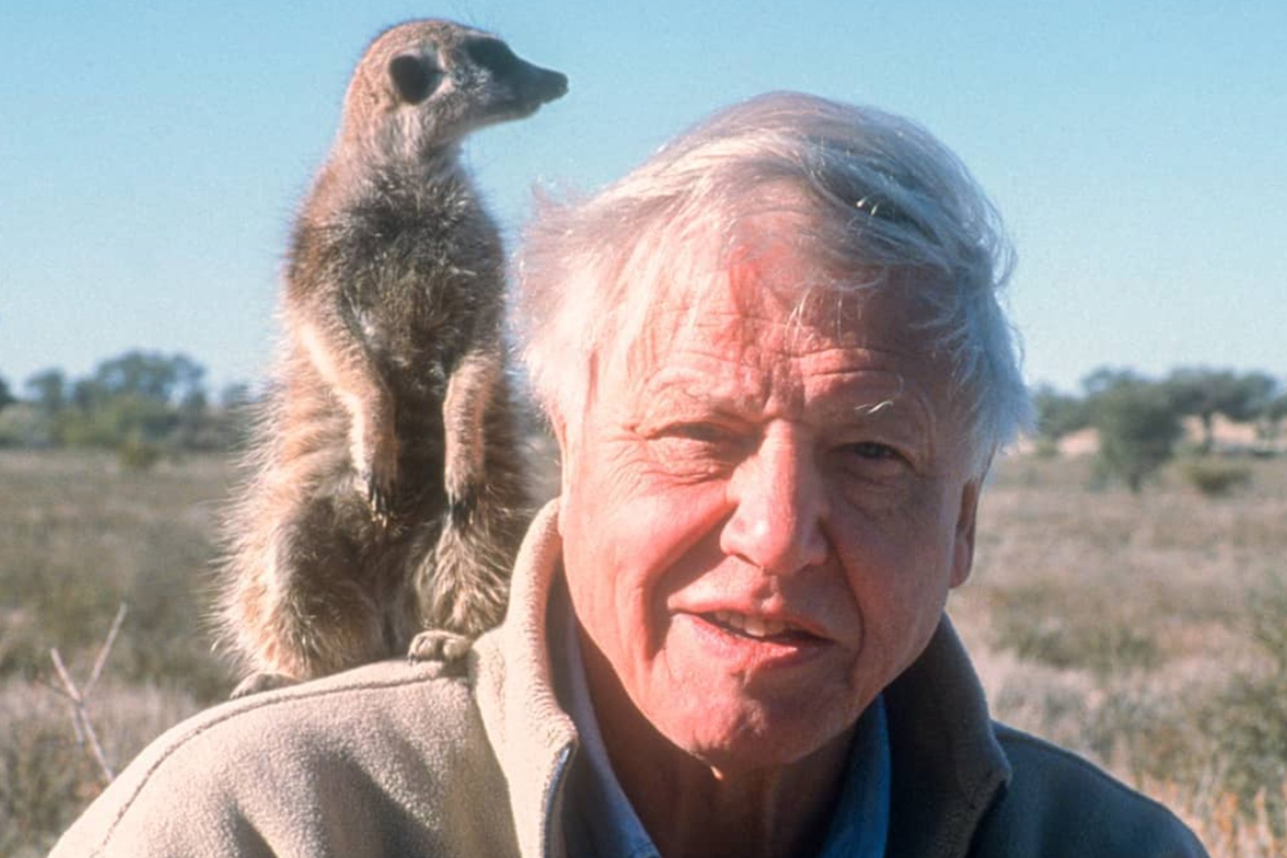 Sir David Attenborough: Omenirea ar putea fi “pe punctul de a destabiliza întreaga planetă”