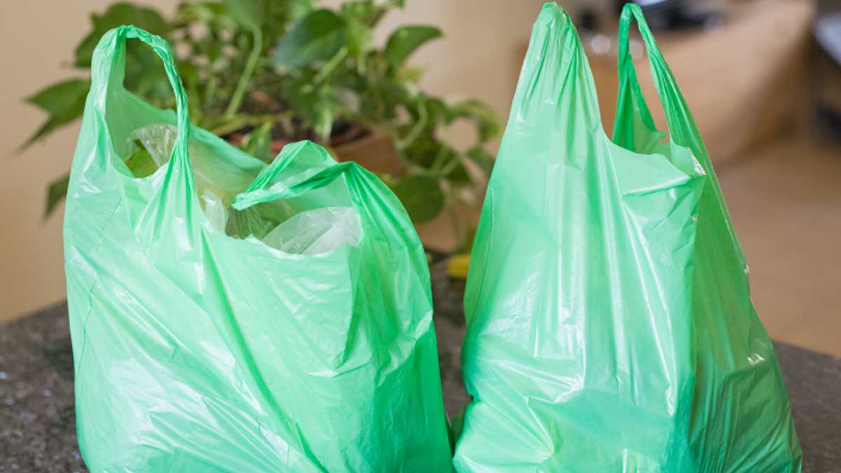 Ordonanța anti-plastic a fost adoptată. Ce produse nu vor mai fi găsite în magazine