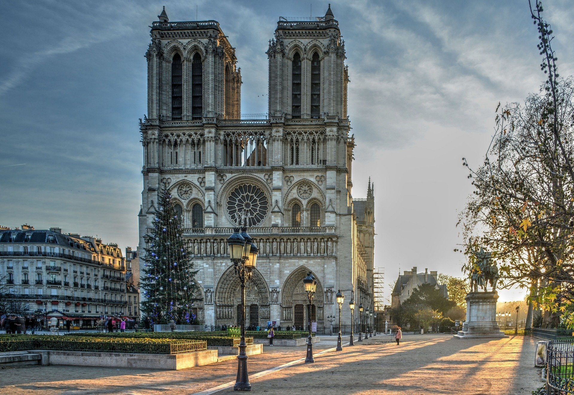 Restaurarea catedralei Notre-Dame: Câți arbori au fost sacrificați?