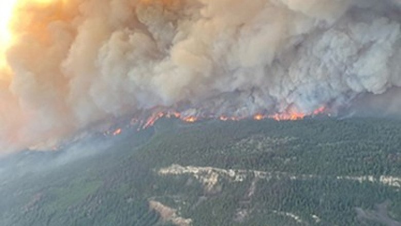 Incendiul la pădurile de pin de pe dealul Istrița, Buzău, este aproape lichidat