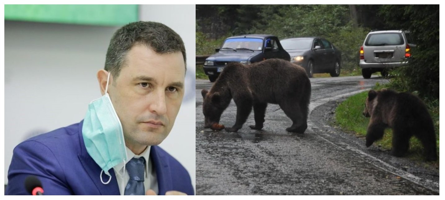 Aberațiile ordonanței privind combaterea atacurilor urșilor bruni