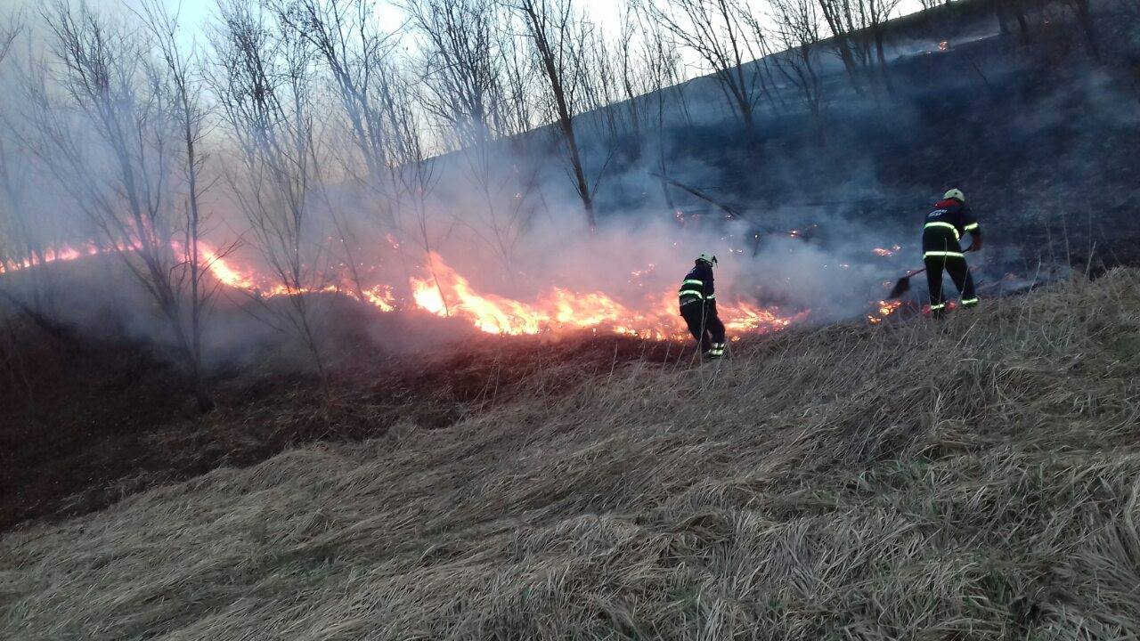 Se extind incendiile de pădure în Bulgaria (VIDEO)