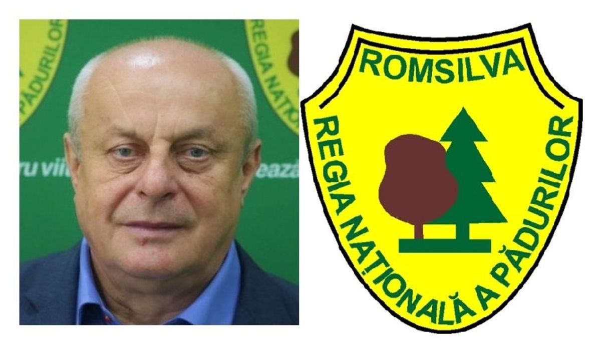EXCLUSIV. Directorul general adjunct al Romsilvei, Cezar Răduță, a retrocedat ilegal 120 ha de pădure din jurul Bucureștiului