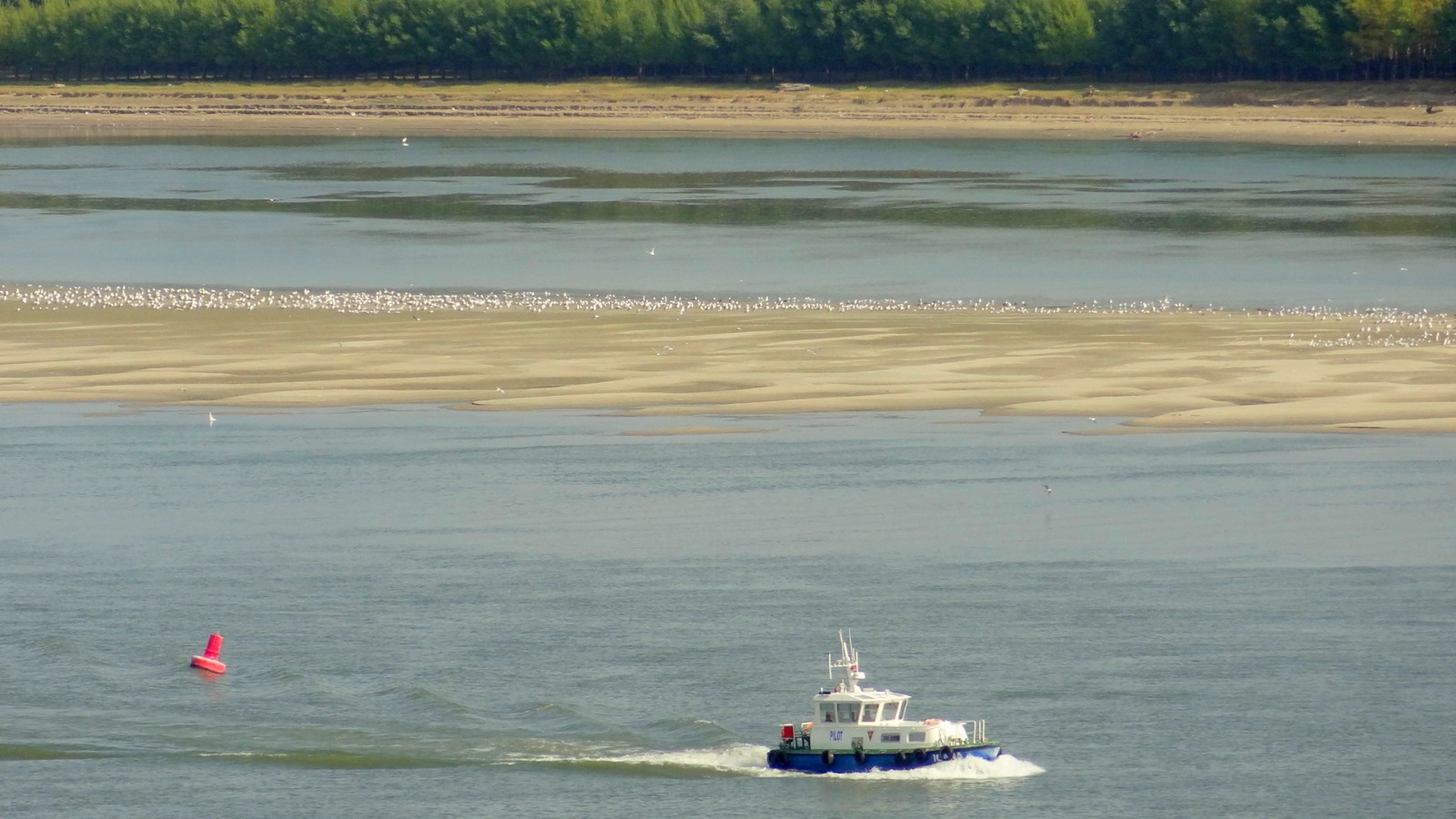 INHGA: Debitul Dunării la intrarea în ţară, de aproape 2,5 ori mai mic decât media lunii iulie