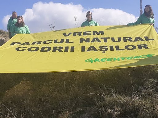 Orice oraş care se respectă merită să aibă un punct de contemplare: Greenpeace România și înfiinţarea Parcului Natural Codrii Iaşilor