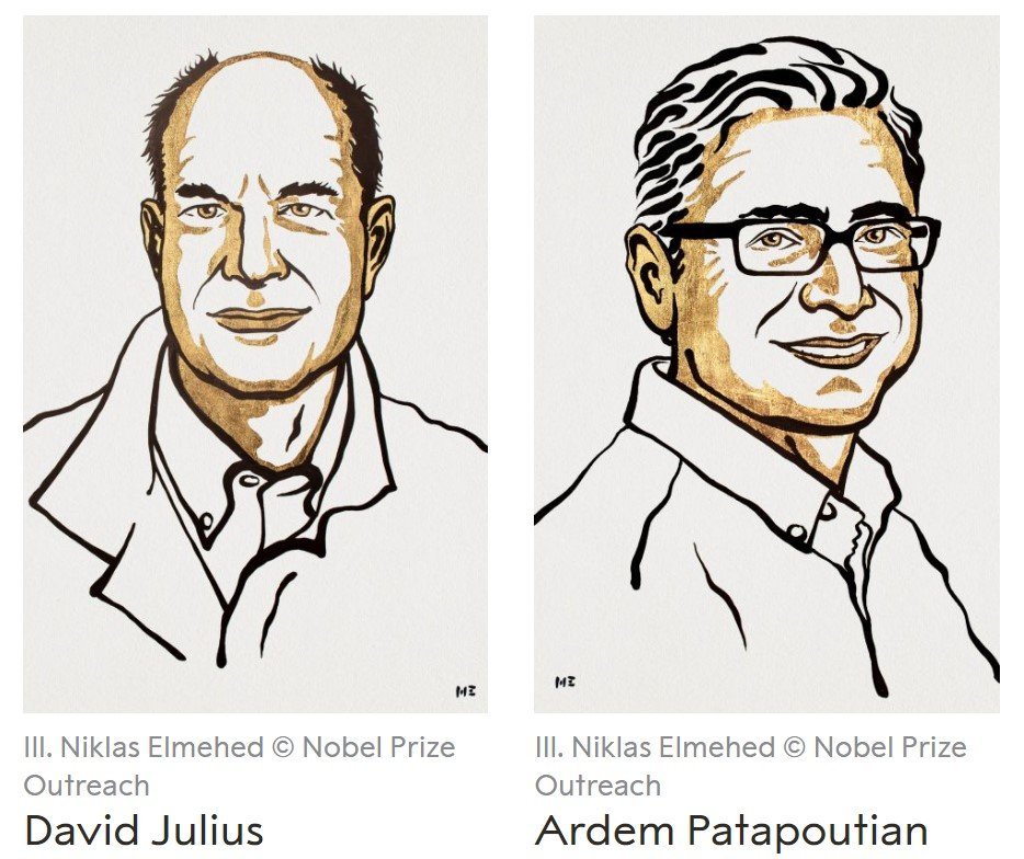 Nobel pentru medicină 2021: David Julius și Ardem Patapoutian