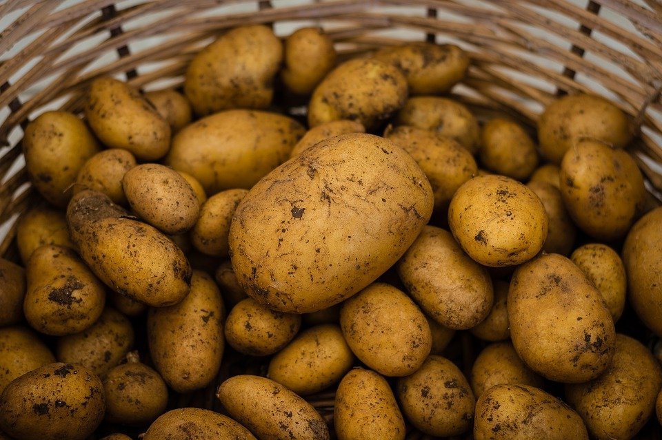 Chesnoiu despre sectorul cartofilor: Singurul element care ne lipseşte sunt depozitele