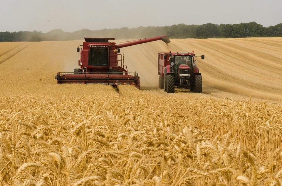 Aproape un sfert din terenurile agricole ale Ucrainei, controlate de ruși
