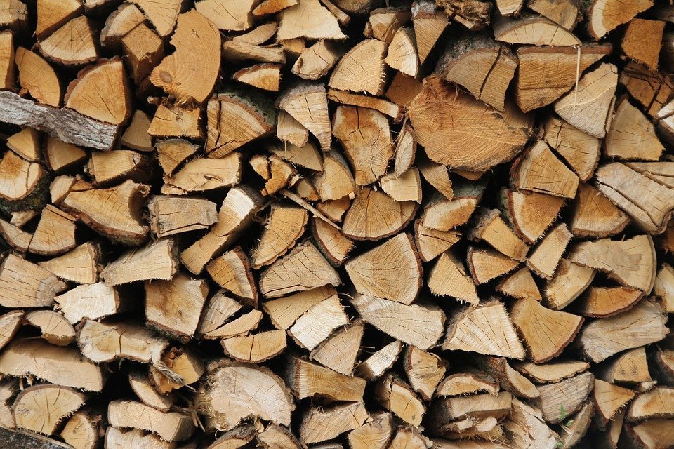 Romsilva scoate la vânzare 700.000 mc de lemn pentru foc pentru populație