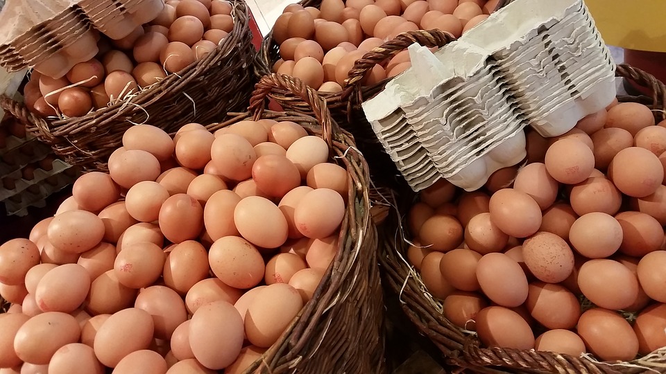 Fermierii americani cer investigarea  motivelor care stau la baza prețurilor ridicate la ouă