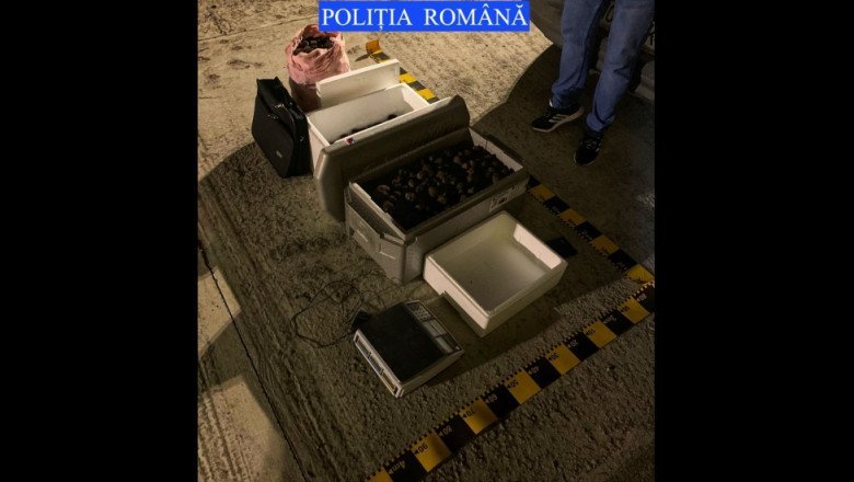 Poliția a găsit 53 kg de trufe negre fără acte în mașina unui bărbat. Cum a fost prins acesta