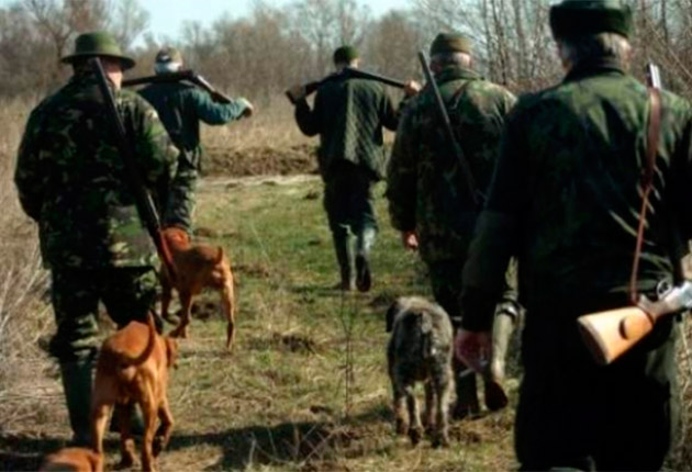 Curtea Constituțională, sesizată cu privire la modificările aduse legii vânătorii. „Unele specii pot fi decimate”