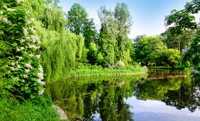 Aniversare: Când a fost înfiinţată Grădina Botanică din Bucureşti și cum se numește, de fapt