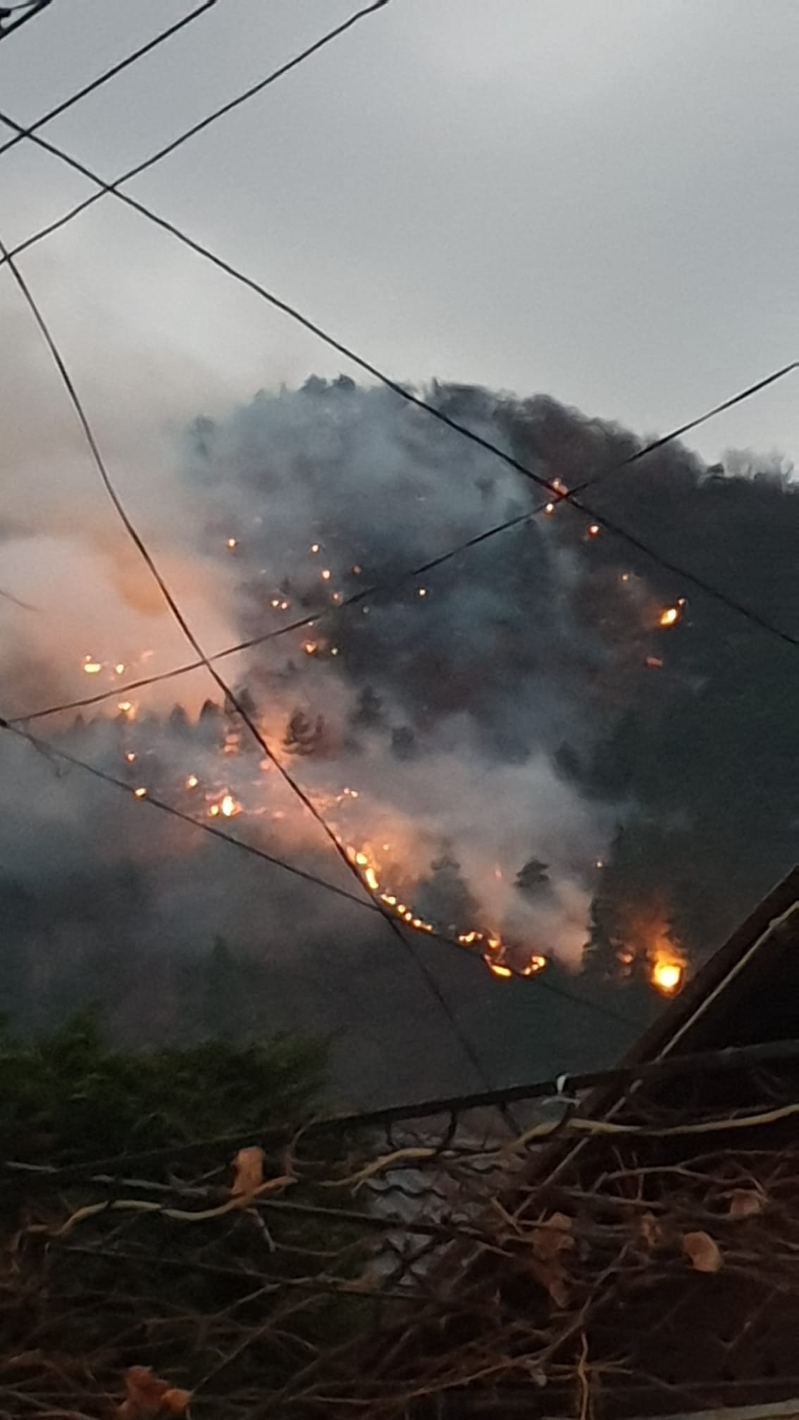 Tulcea: Au ars 400 de hectare de mirişte şi 600 baloţi de paie; cauza – foc folosit intenţionat
