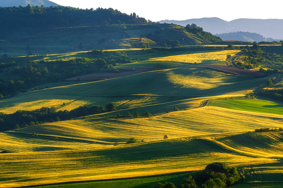 Terenul agricol este mai scump în România, decât în Franța și Ungaria. Cât de mare este diferența