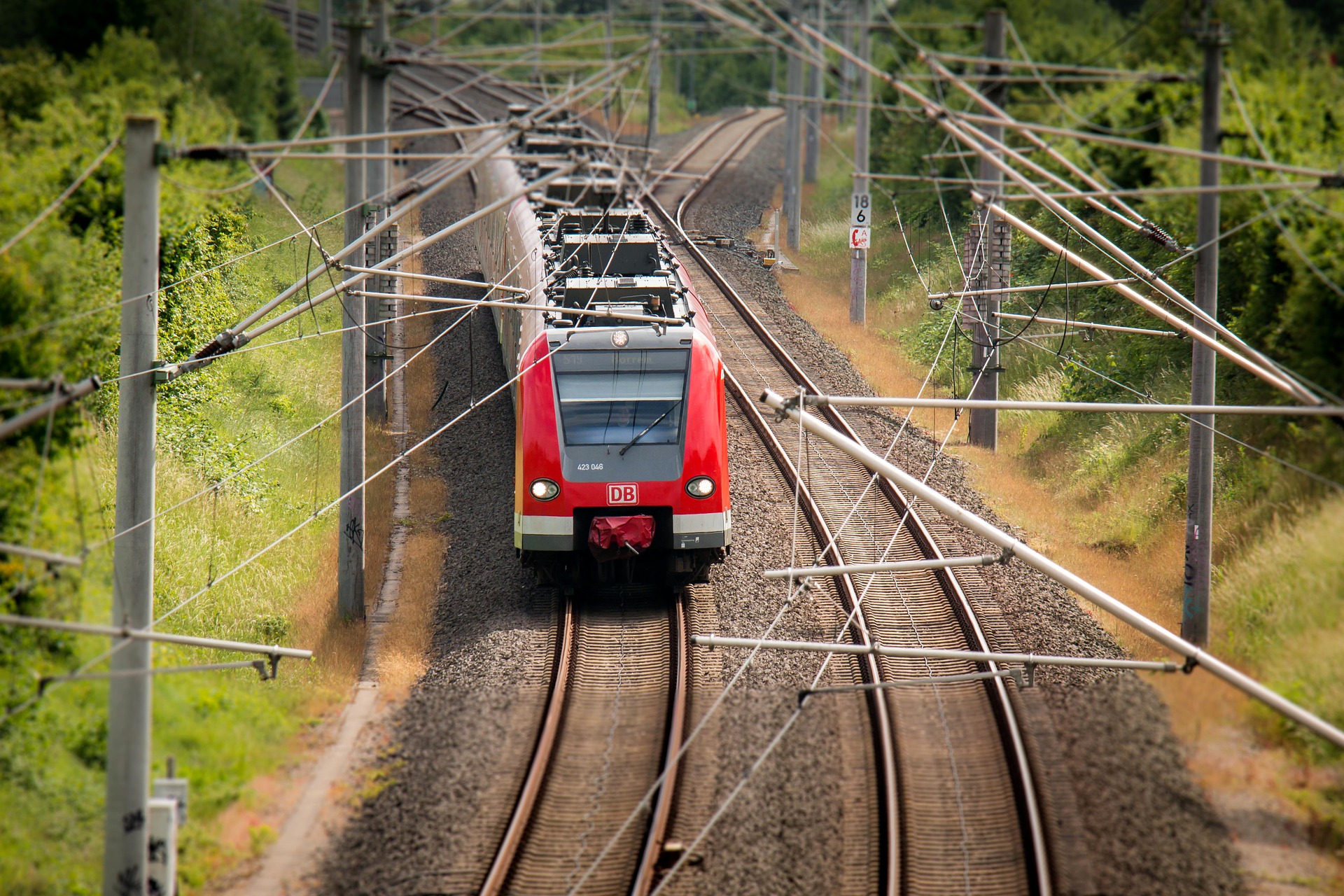 Sibiu: Tren oprit pentru salvarea unui cal blocat între șinele căii ferate