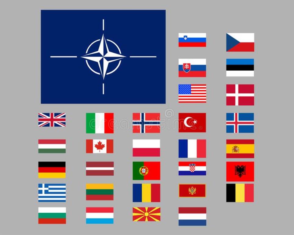 Parlamentul ceh a aprobat aderarea Finlandei şi a Suediei la NATO