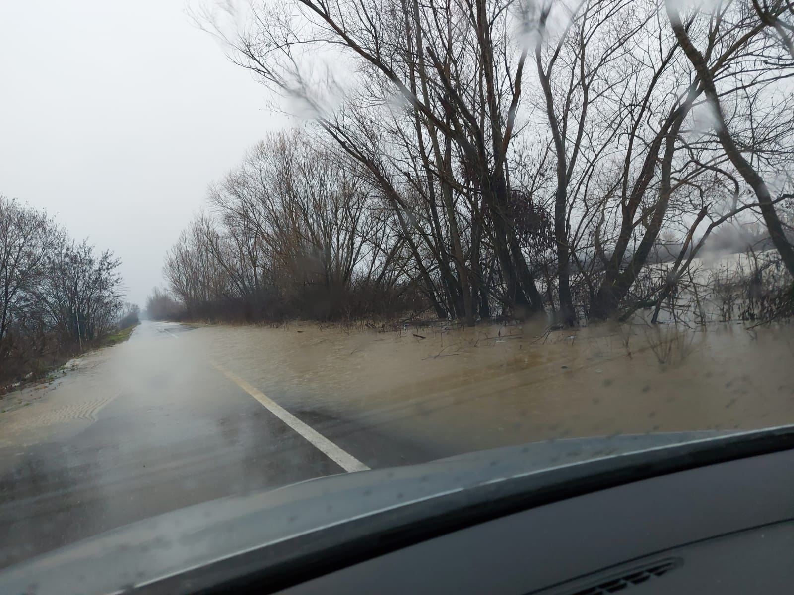 Arad: drum județean închis și sute de hectare inundate, după revărsarea Crișului Alb
