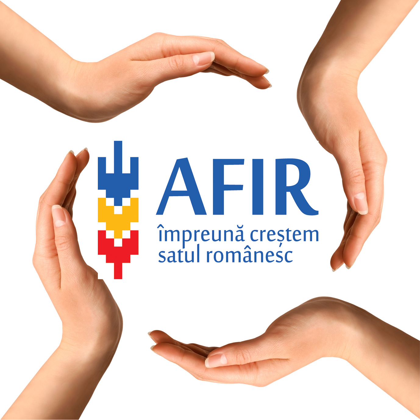 AFIR: Garanțiile emise de IFN-uri nu sunt acceptate în procedurile de achiziție publică
