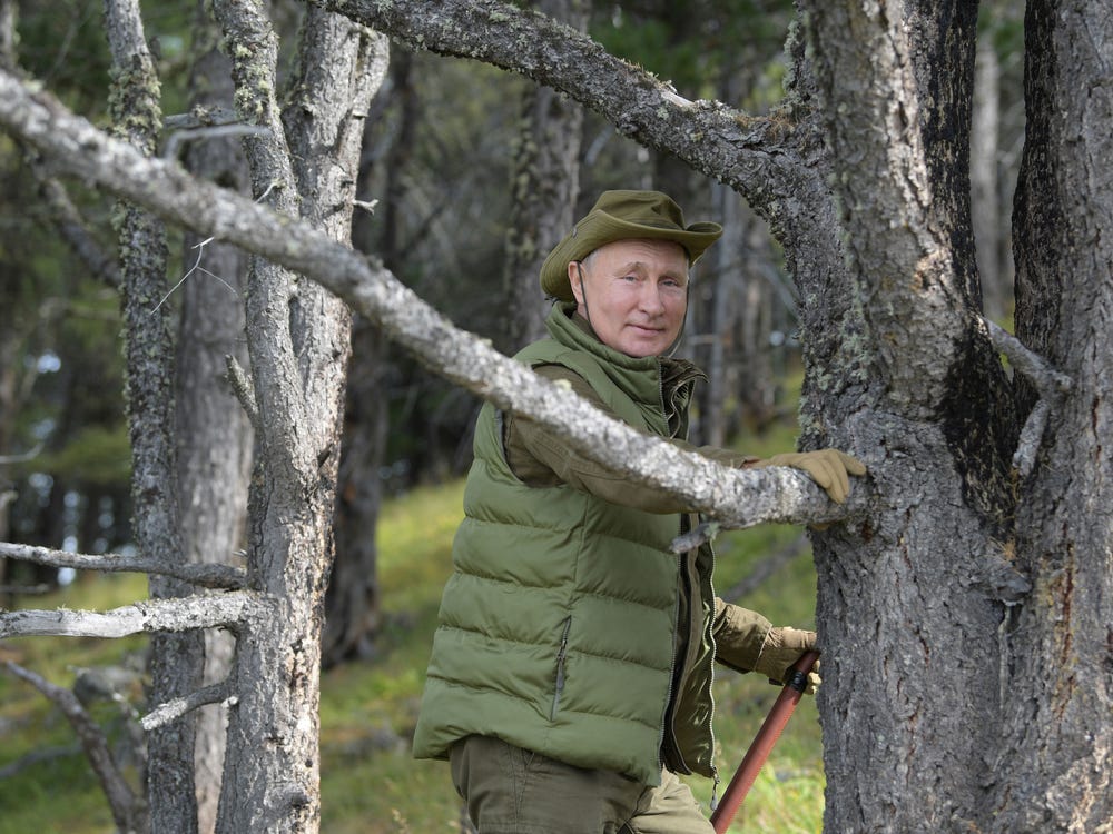 Rusia restricționează lemnul. Cine nu îl va mai avea
