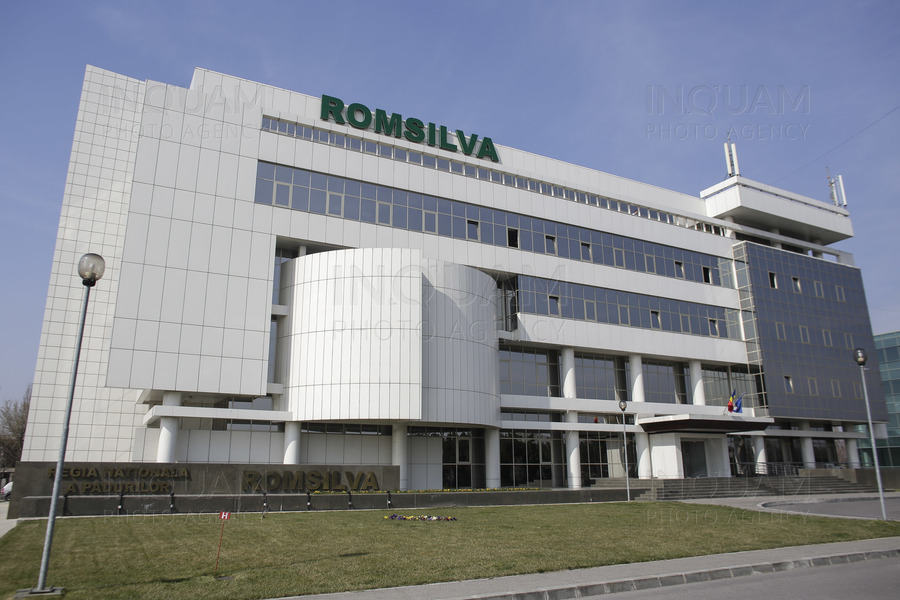 Romsilva nu mai are de la începutul anului Consiliu de Administrație