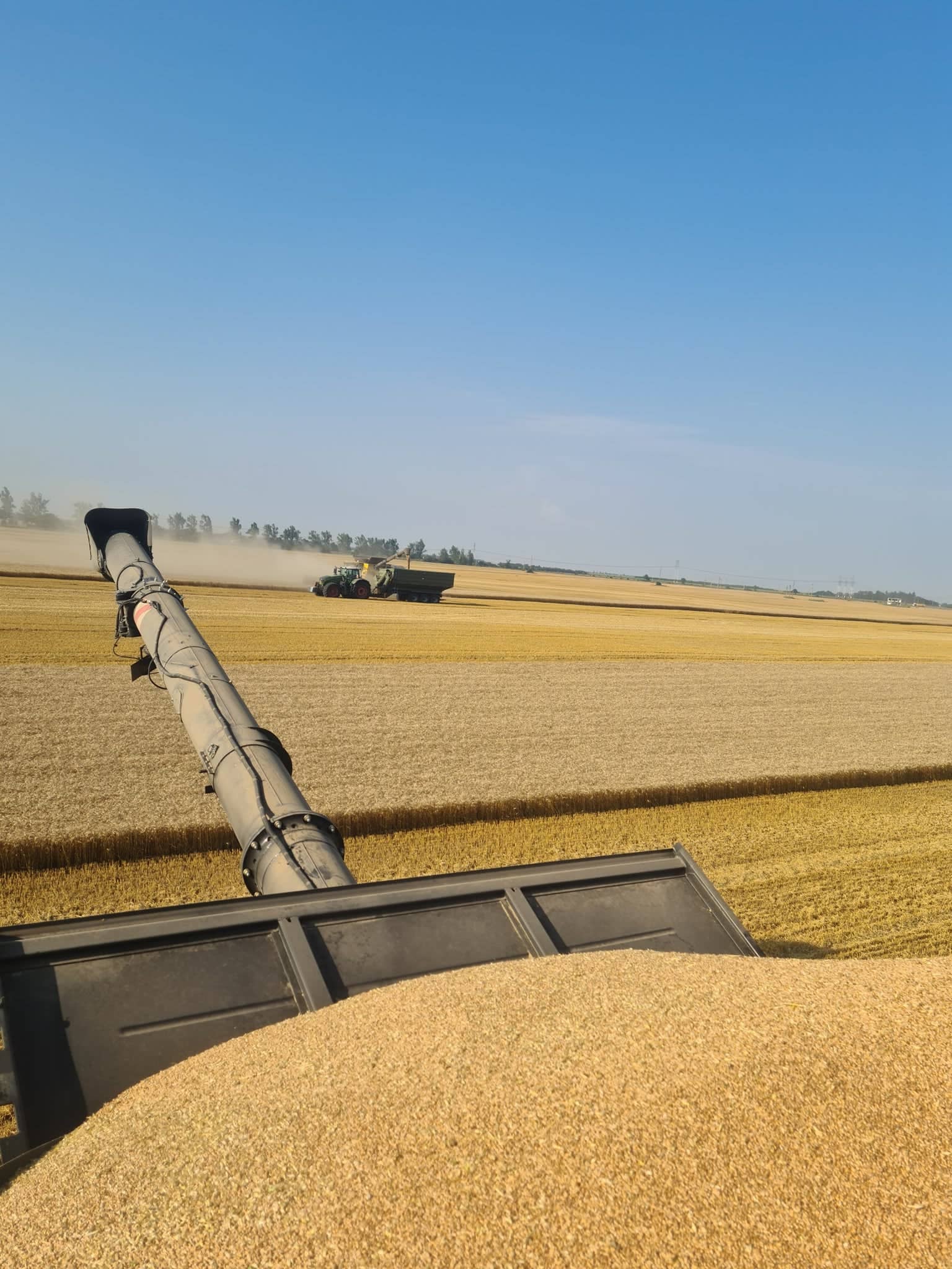 Tranzacție. Holde Agri Invest mai cumpără o fermă în Teleorman și ajunge la 4.000 ha în zona Roșiori