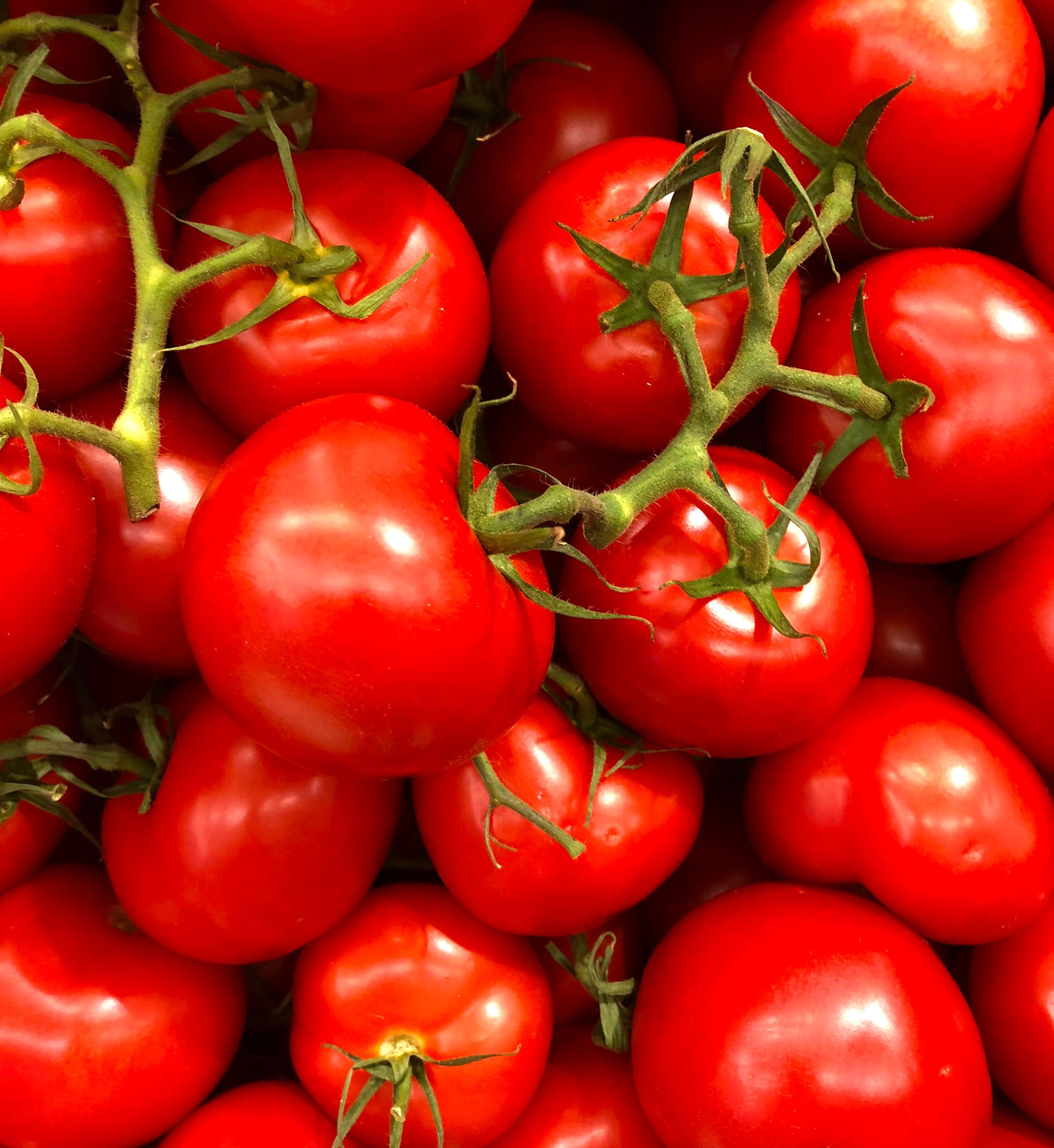 Tomate din Turcia cu pesticide. Consumatorii, sfătuiți să le aducă înapoi