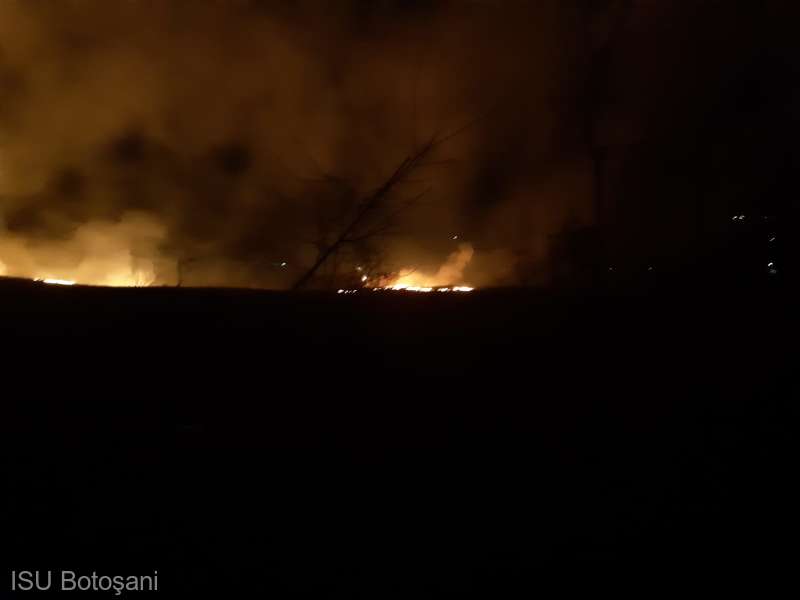 Peste 70 de pompieri au intervenit să stingă opt incendii uriașe în Botoșani