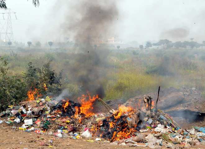 Infracțiuni: Care sunt pedepsele pentru incendierea și îngroparea deșeurilor