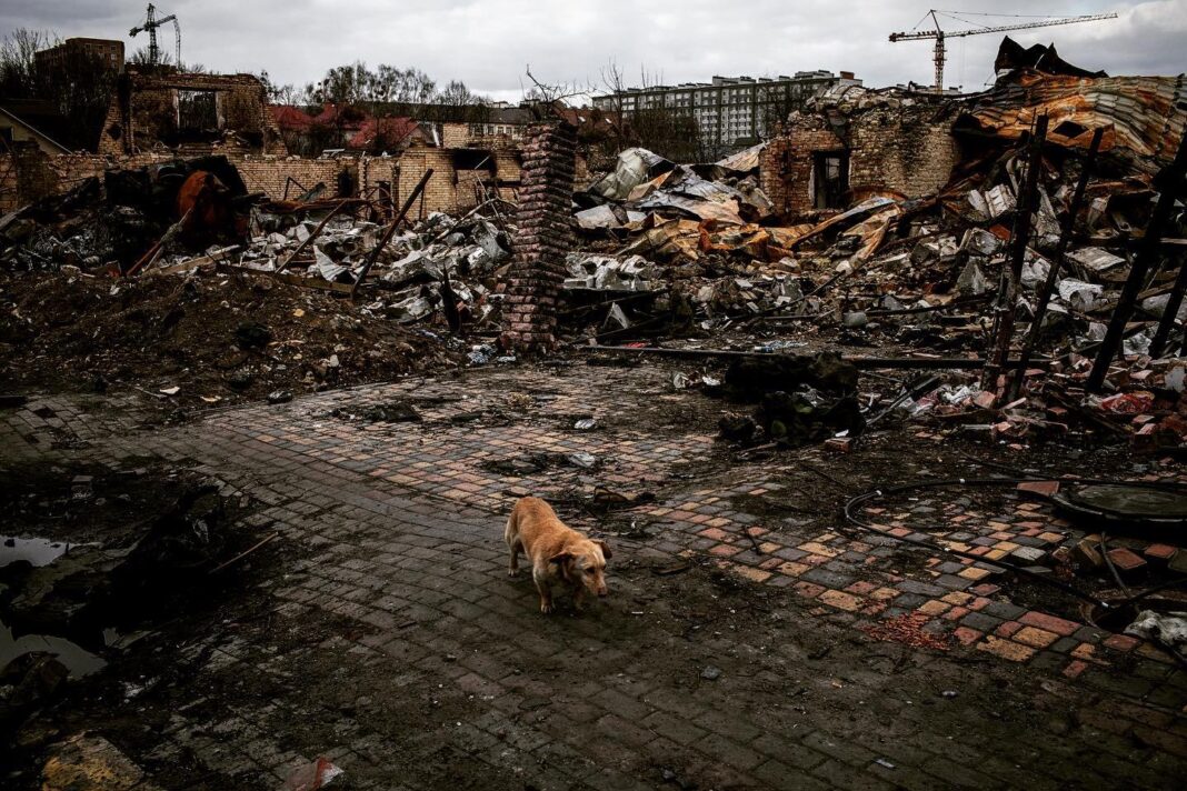 case bombardate război Ucraina