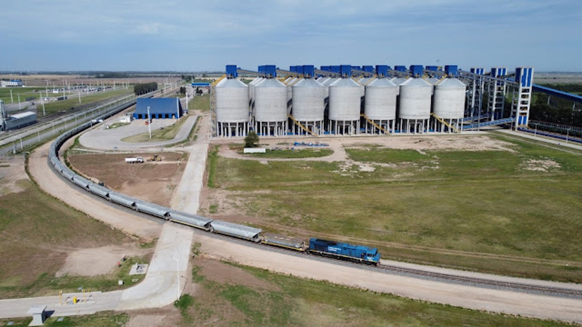 „Scoaterea cerealelor” din Ucraina pe cale ferată sau prin port, o oportunitate pentru România – Mihai Aniţei, Metachim