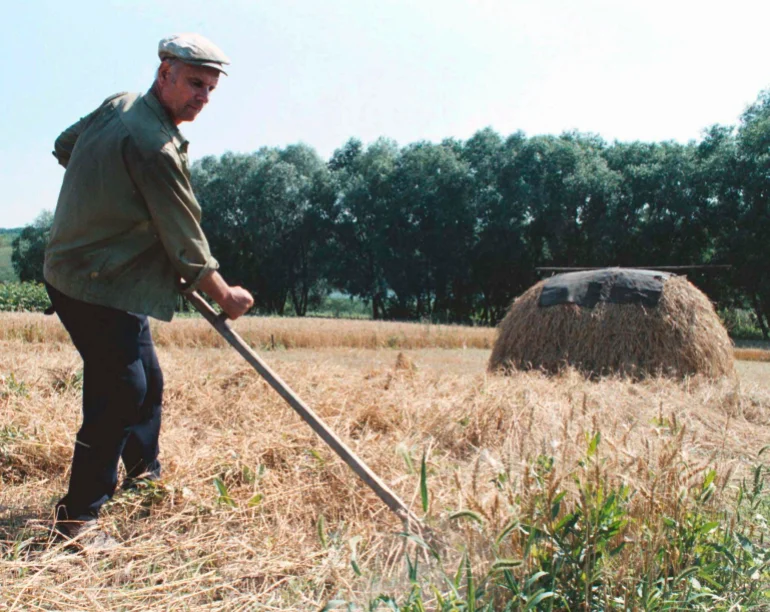 Terenurile cultivabile, încotro? Cât și cum a pierdut agricultura Ucrainei