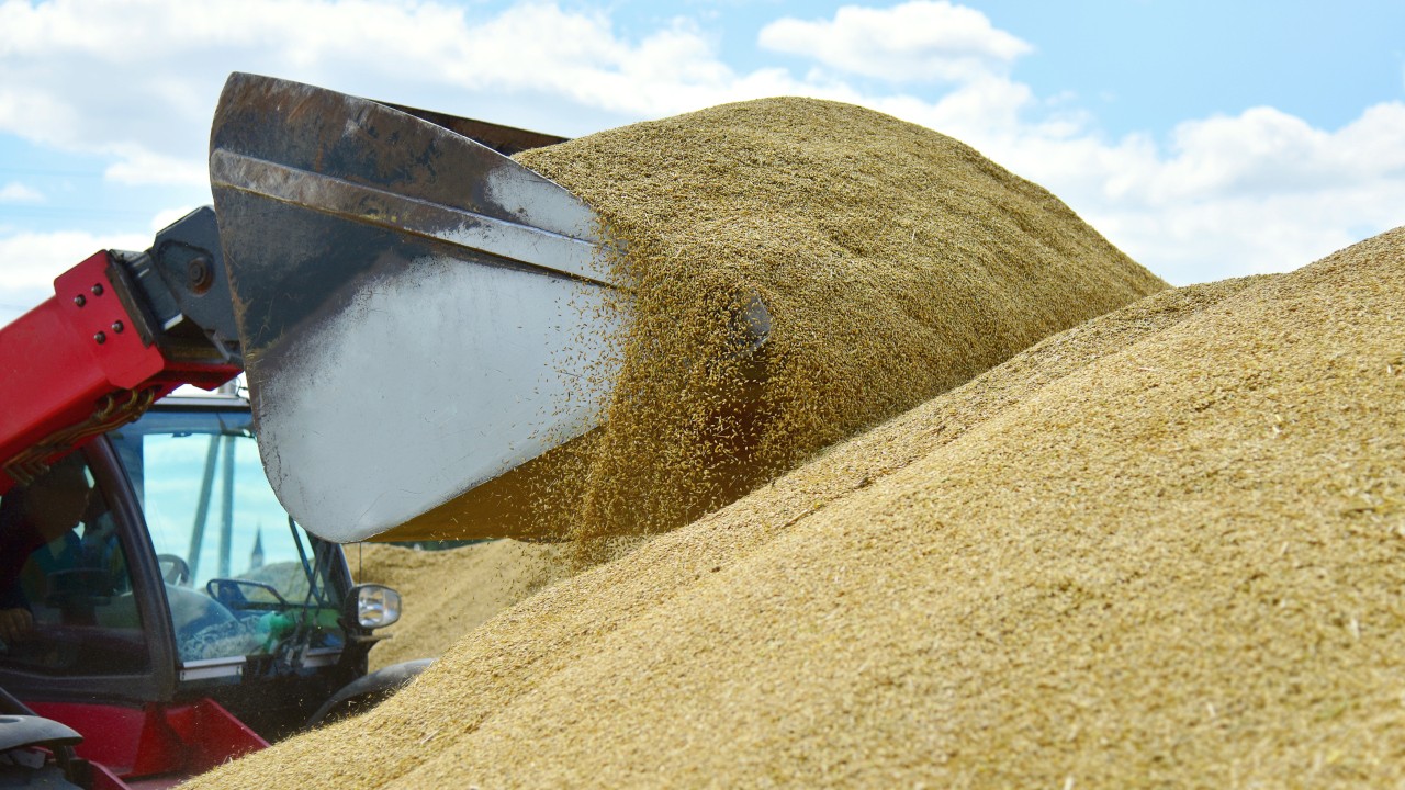 Ucraina: Acordul privind exportul de cereale a majorat semnificativ cantităţile livrate în afara ţării